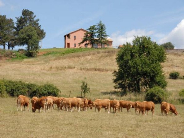 Agriturismo Mezzano